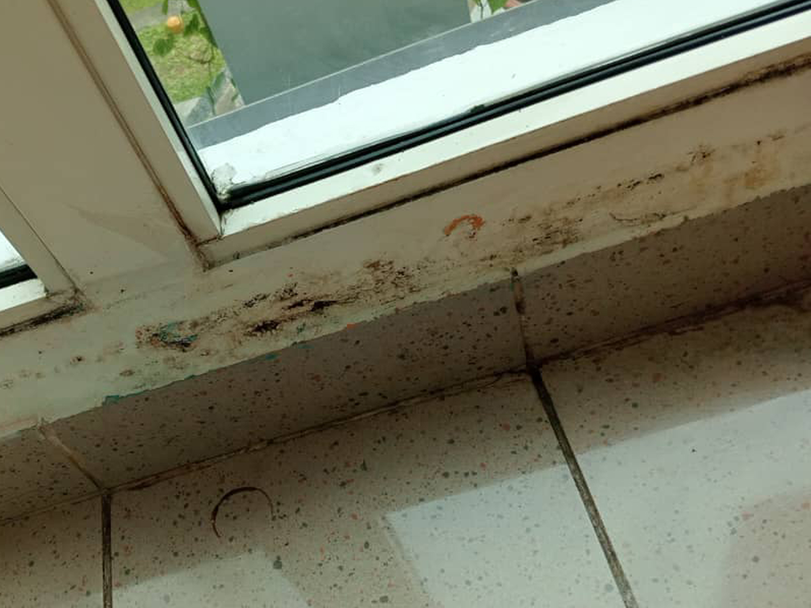 Photocatalyst coating image for mold prevention around window frames