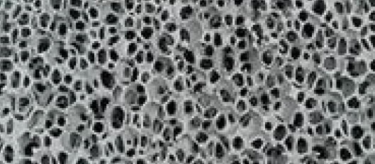 An enlarged photo of the ceramic filter