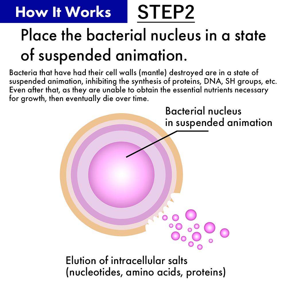 Mechanism of Efficacy STEP2