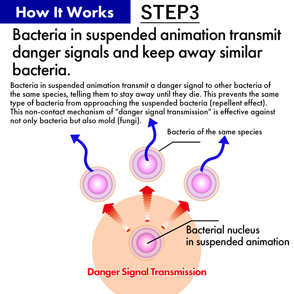 Mechanism of Efficacy STEP3