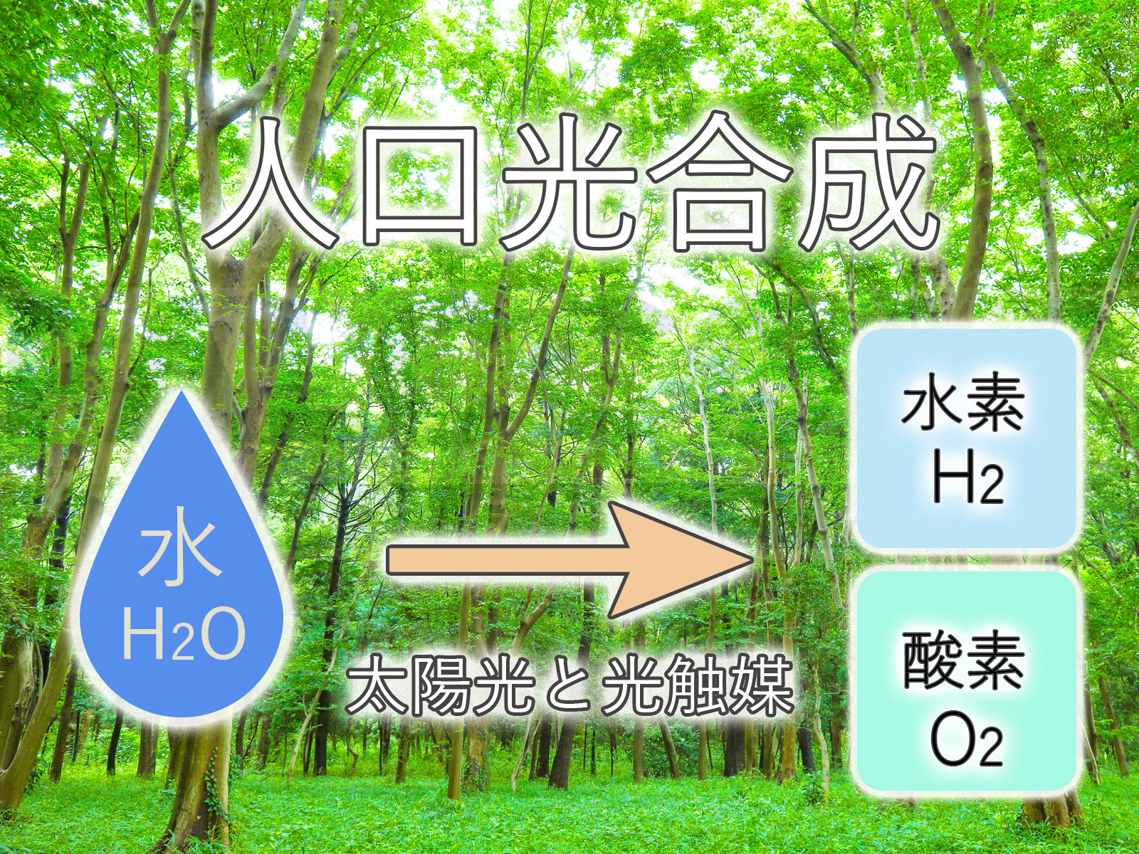 世界初、人工光合成により100m2規模でソーラー水素を製造する実証試験に成功