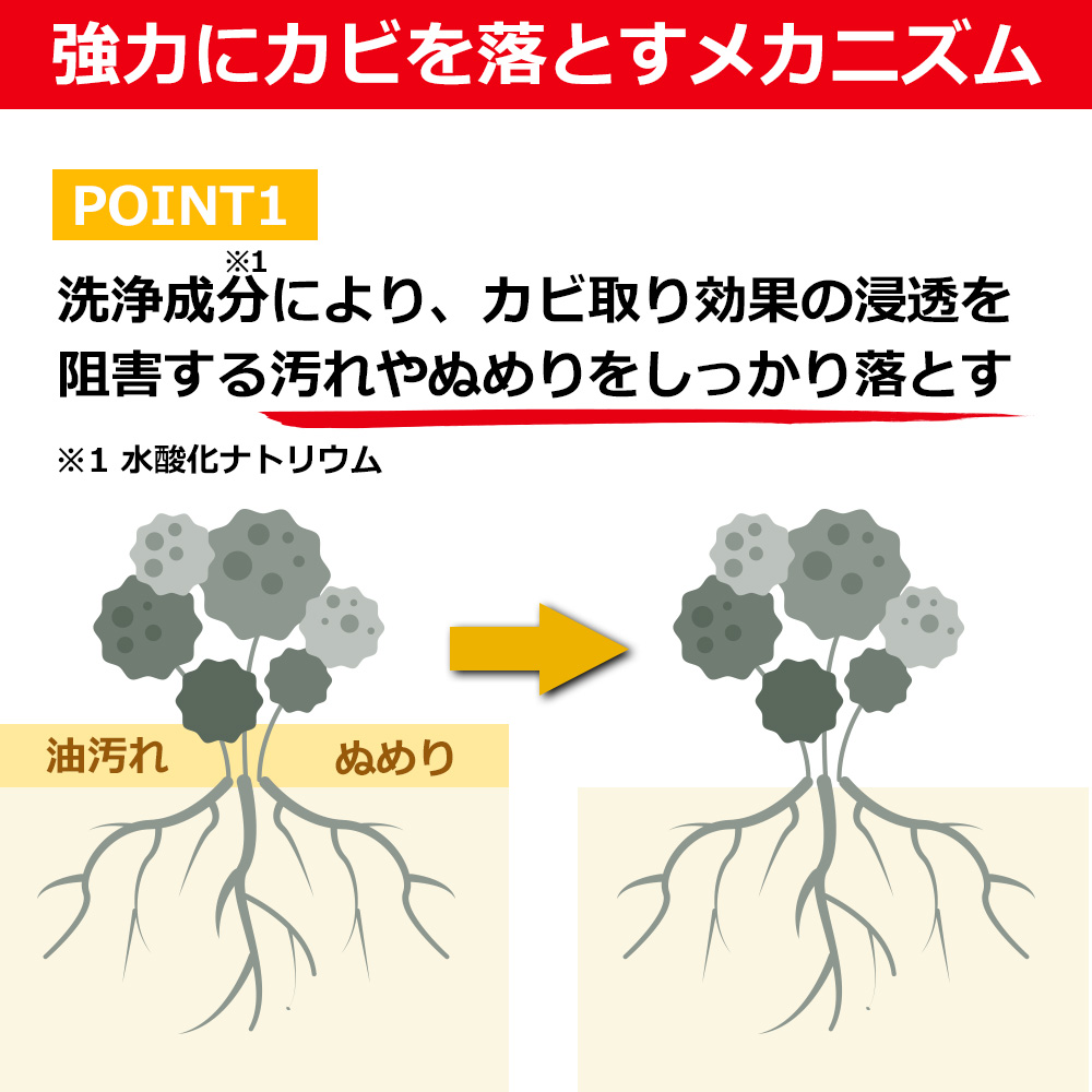 強力にカビを落とすメカニズム1