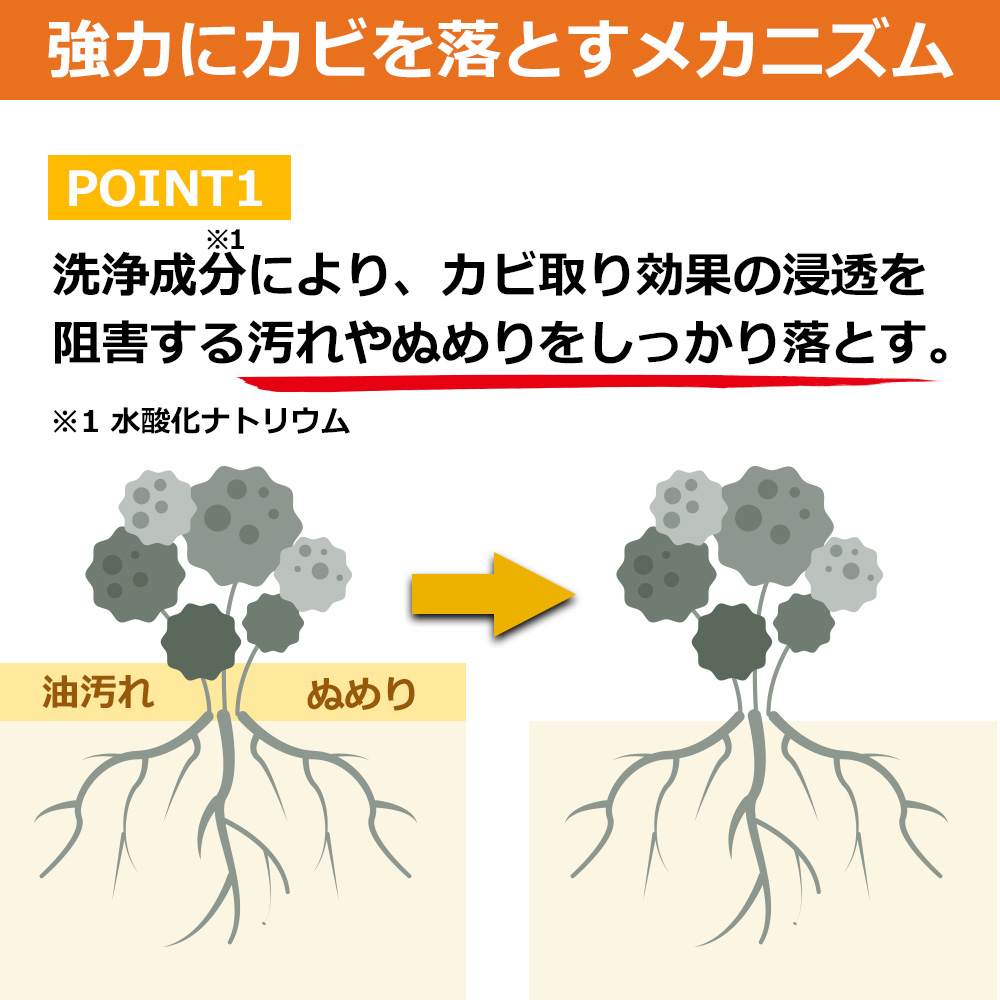 強力にカビを落とすメカニズム1