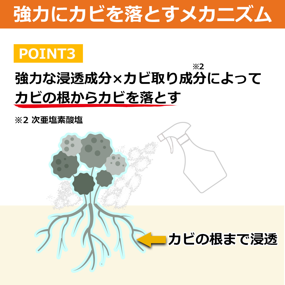 強力にカビを落とすメカニズム3