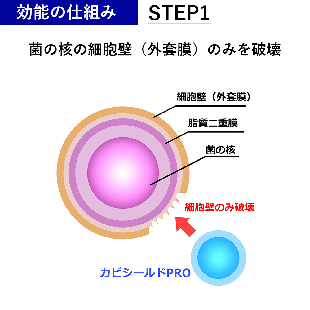 効能の仕組みSTEP1