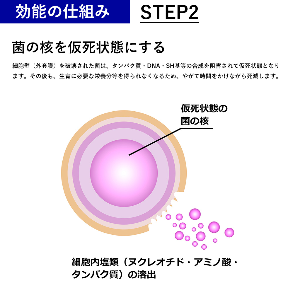 効能の仕組みSTEP2