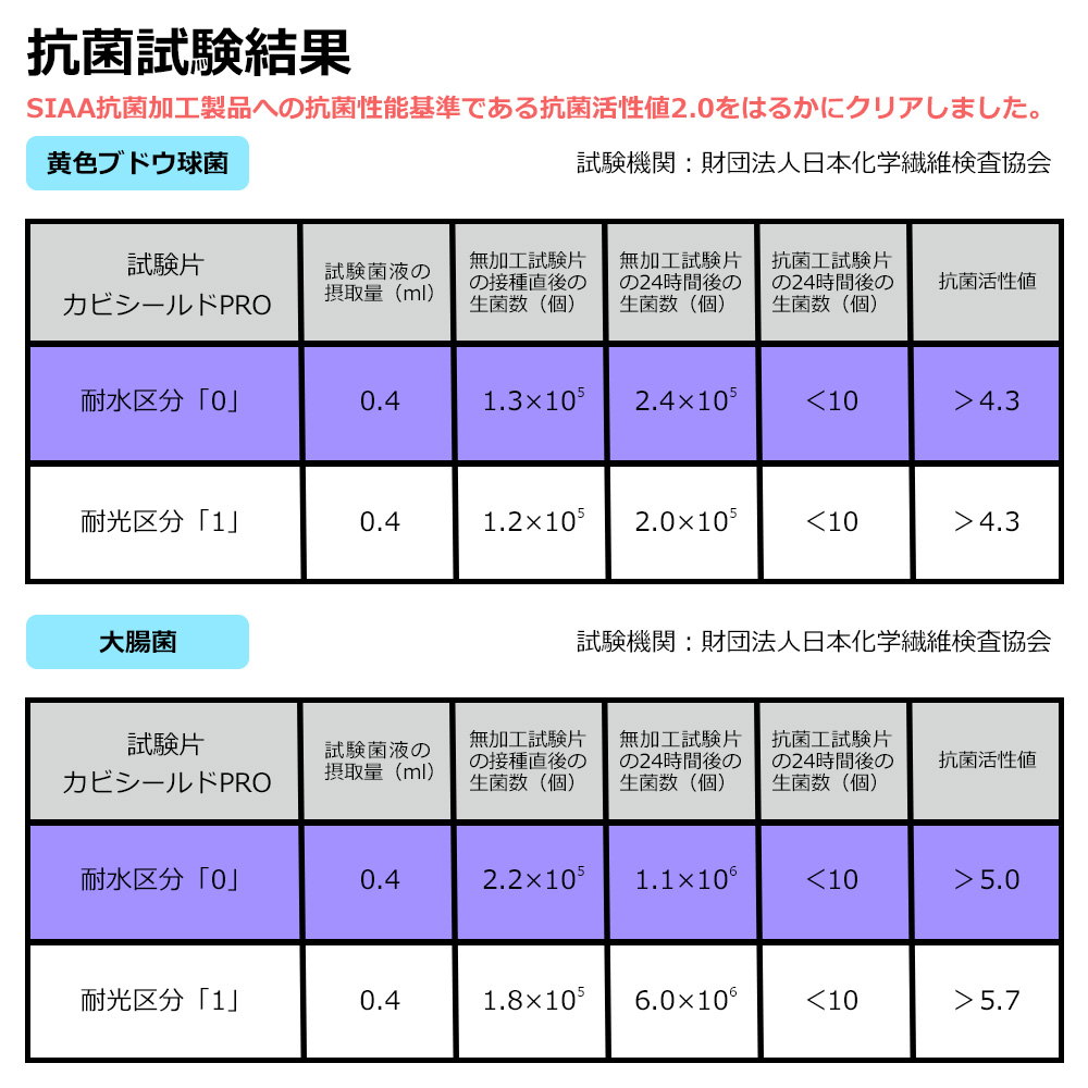 抗菌試験結果