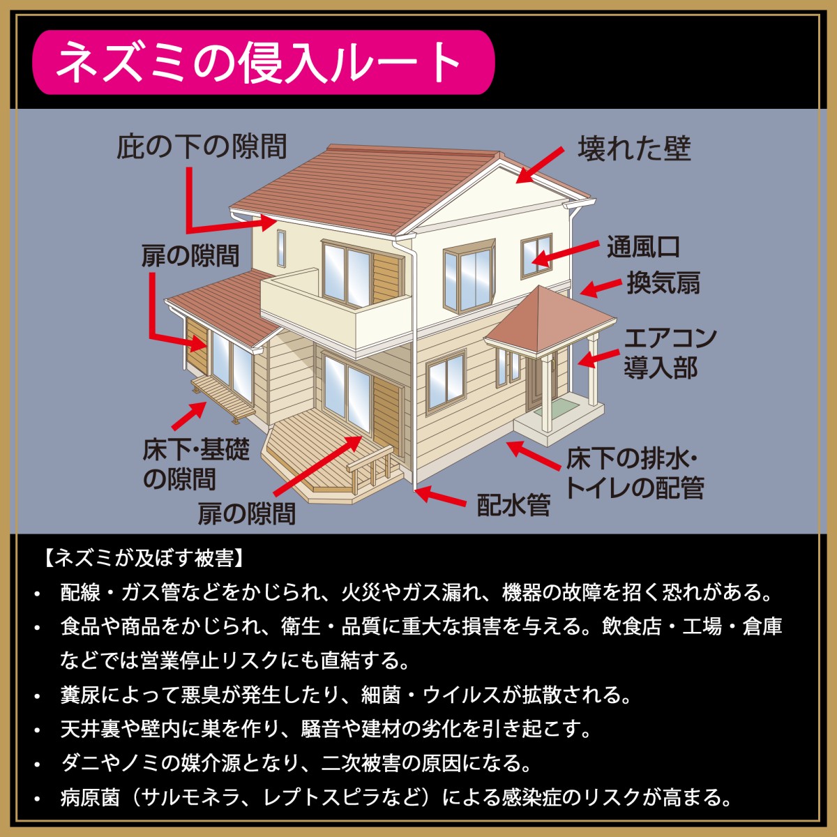 ネズミの侵入ルート