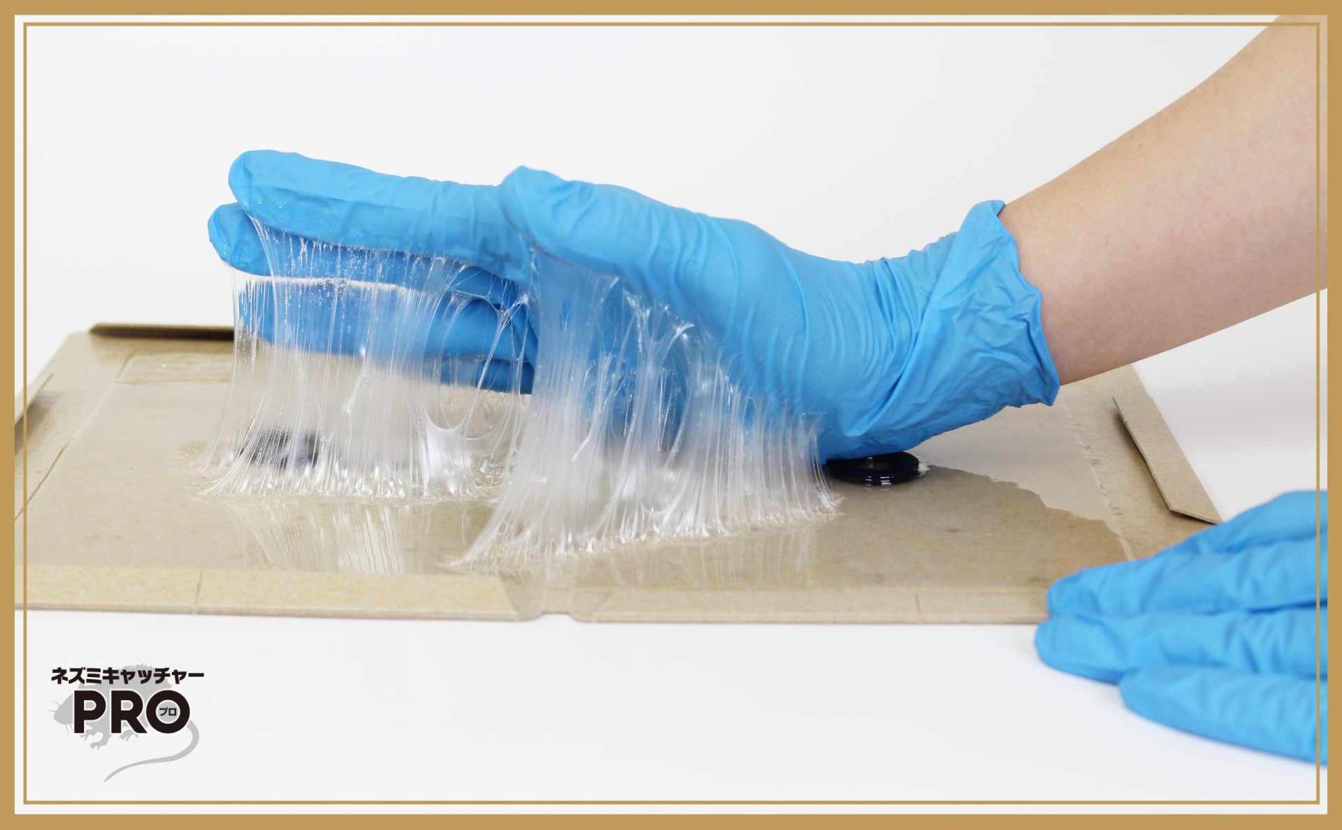 プロ仕様の品質と安全性