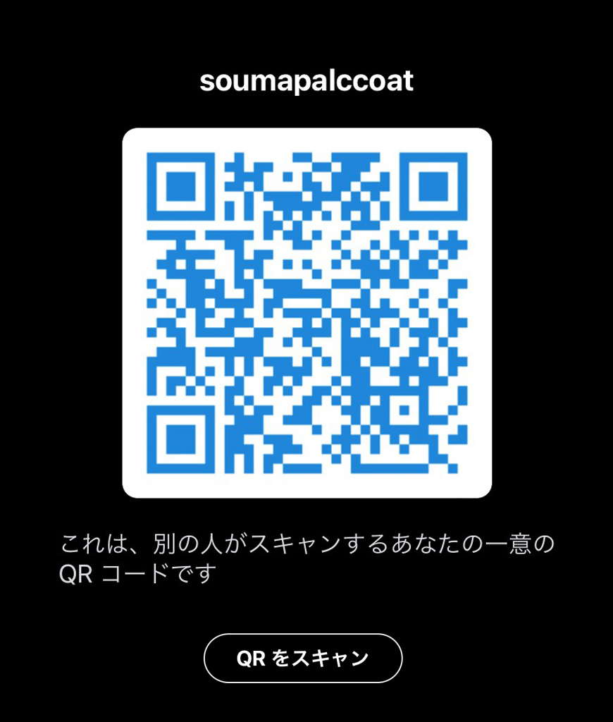 PALCCOAT Skype